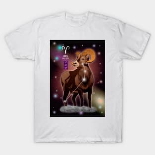 Aries T-Shirt